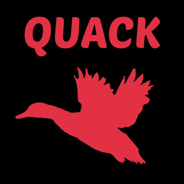 Quack Bots Logo